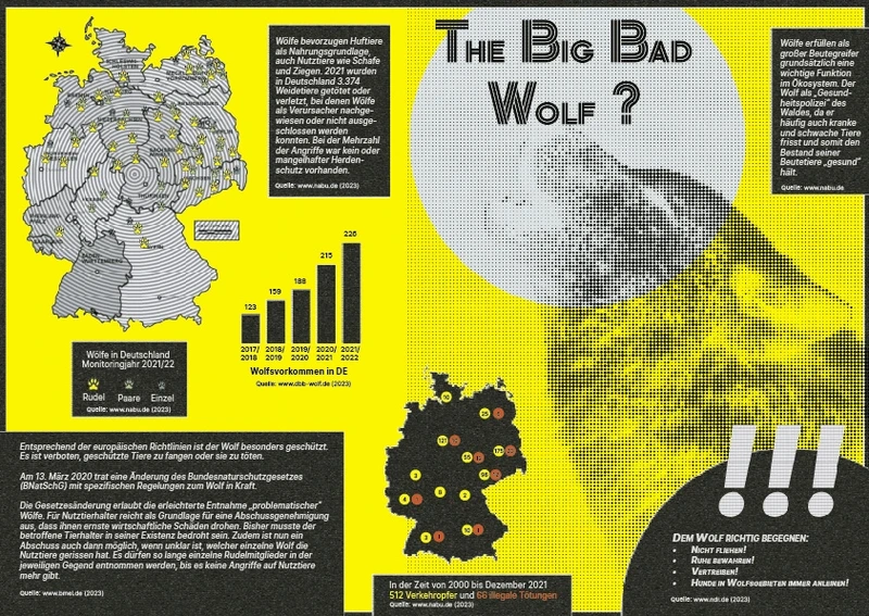 Infografik: Wölfe in Deutschland